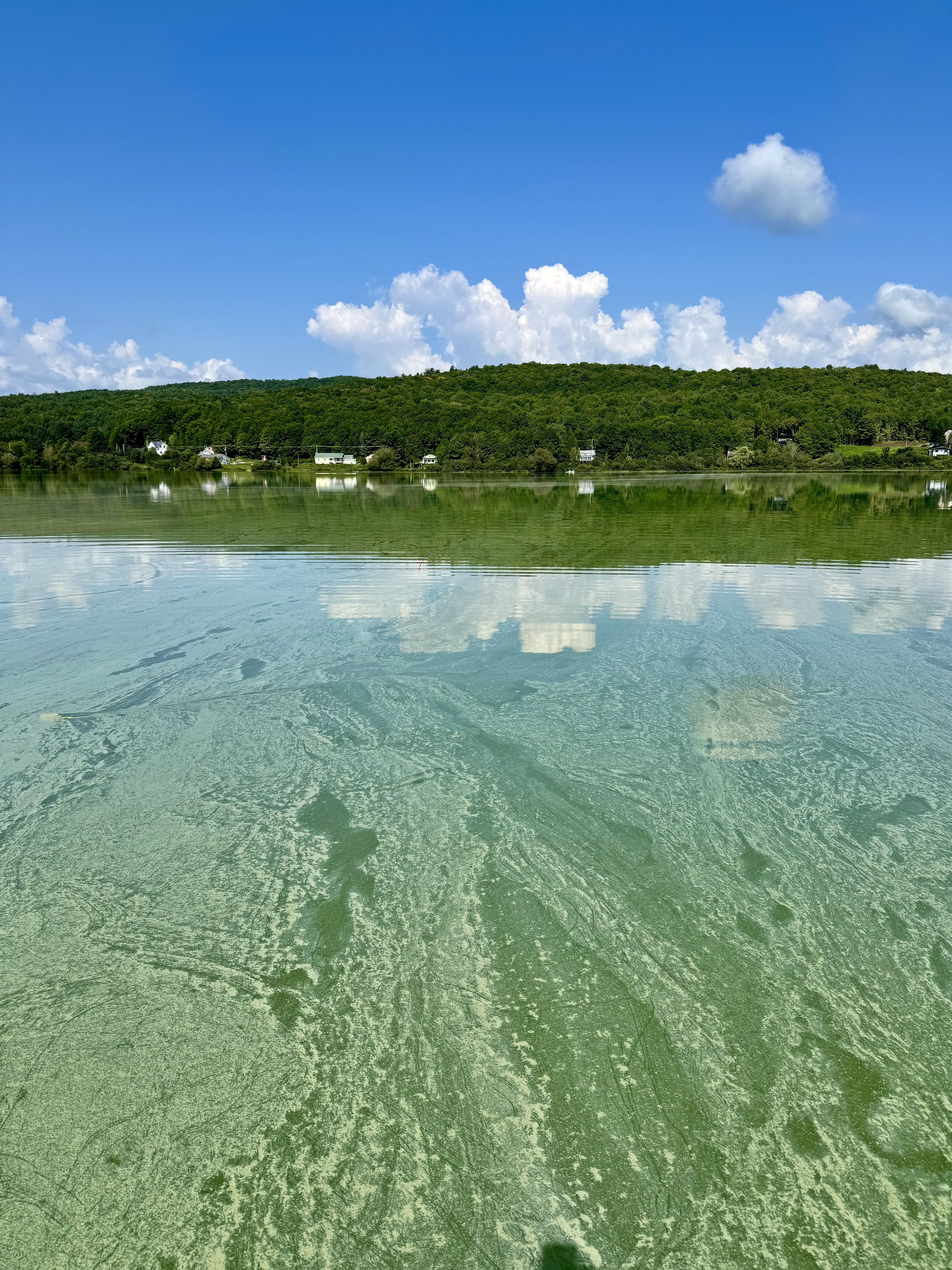 Écosystème aquatique