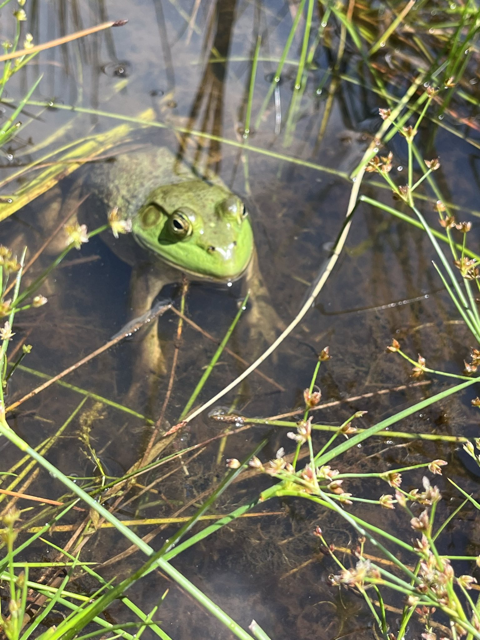 un membre de l'equipe FloteXa