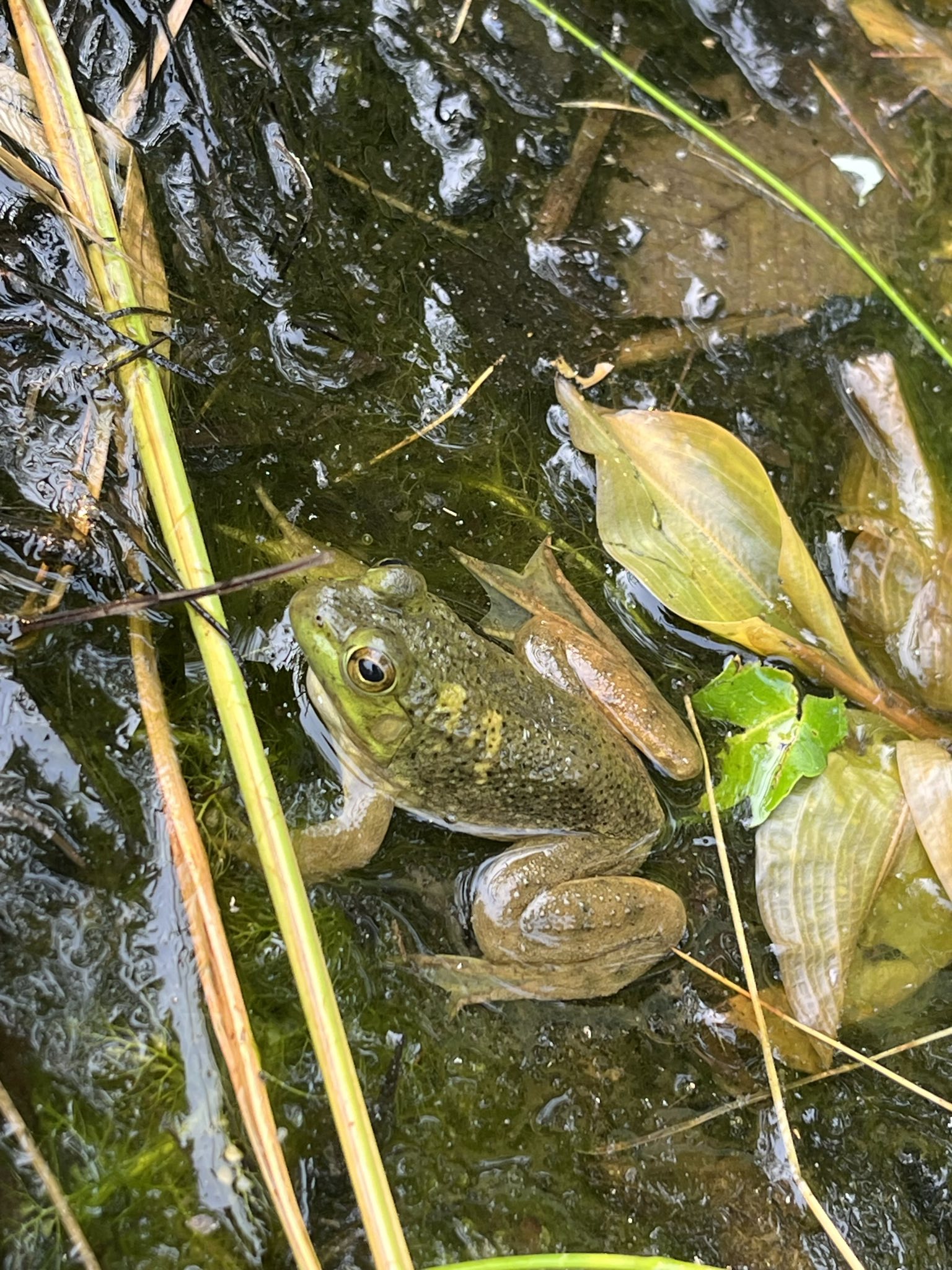 Vue aérienne du lac